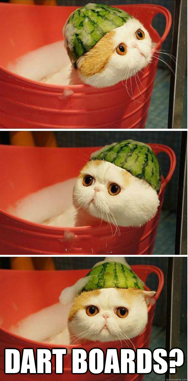 Dart boards? - Dart boards?  Confused Gandalf Kitty