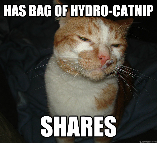 Has bag of hydro-catnip shares  Cool Cat Craig