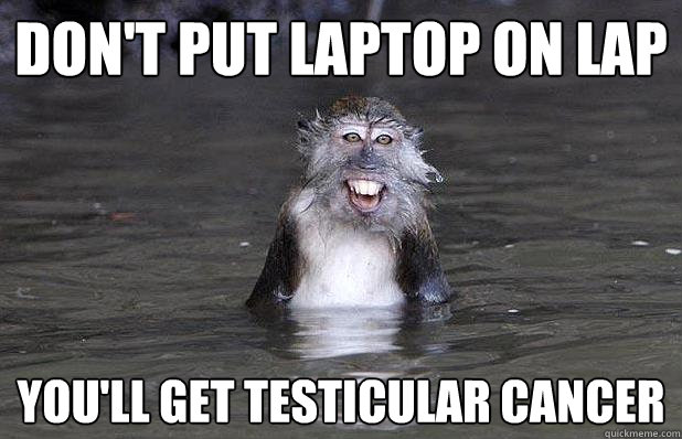 Don't put laptop on lap You'll get testicular cancer - Don't put laptop on lap You'll get testicular cancer  Mistaken Macaque
