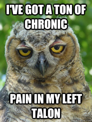 i've got a ton of chronic pain in my left talon - i've got a ton of chronic pain in my left talon  Stoner Owl