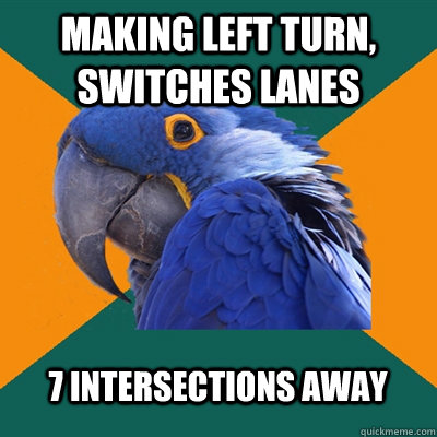 MAKING LEFT TURN, SWITCHES LANES 7 INTERSECTIONS AWAY  Paranoid Parrot
