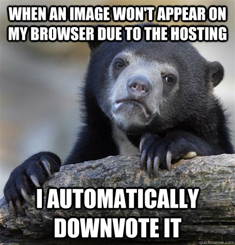 When an image won't appear on my browser due to the hosting I automatically downvote it  Confession Bear