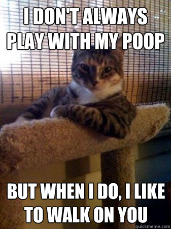 I don't always play with my poop but when I do, i like to walk on you  The Most Interesting Cat in the World