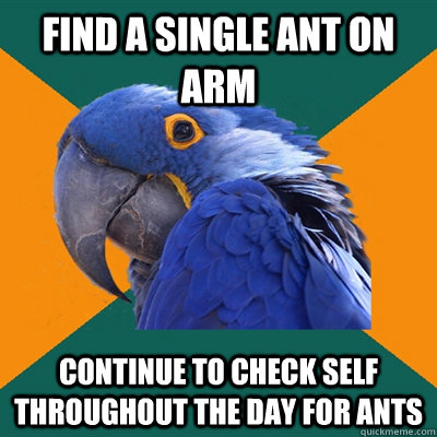 find a single ant on arm continue to check self throughout the day for ants  Paranoid Parrot