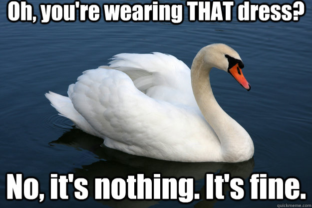 Oh, you're wearing THAT dress? No, it's nothing. It's fine. - Oh, you're wearing THAT dress? No, it's nothing. It's fine.  Mute Swan
