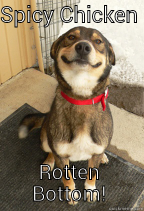 SPICY CHICKEN  ROTTEN BOTTOM! Good Dog Greg