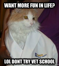 want more fun in life? lol dont try vet school - want more fun in life? lol dont try vet school  Doctor Cat