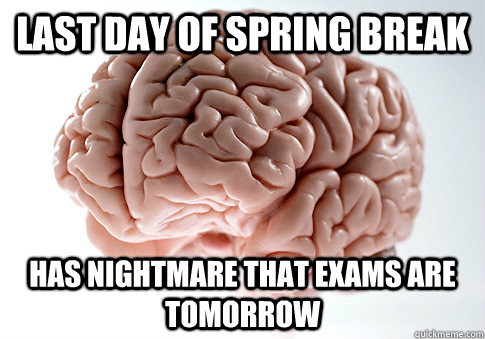 Last day of spring break has nightmare that exams are tomorrow  Scumbag Brain