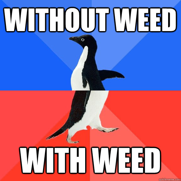 Without weed with weed - Without weed with weed  Socially Awkward Awesome Penguin