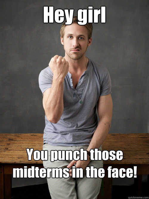 Hey girl You punch those midterms in the face!  - Hey girl You punch those midterms in the face!   Ryan Gosling Punch Finals