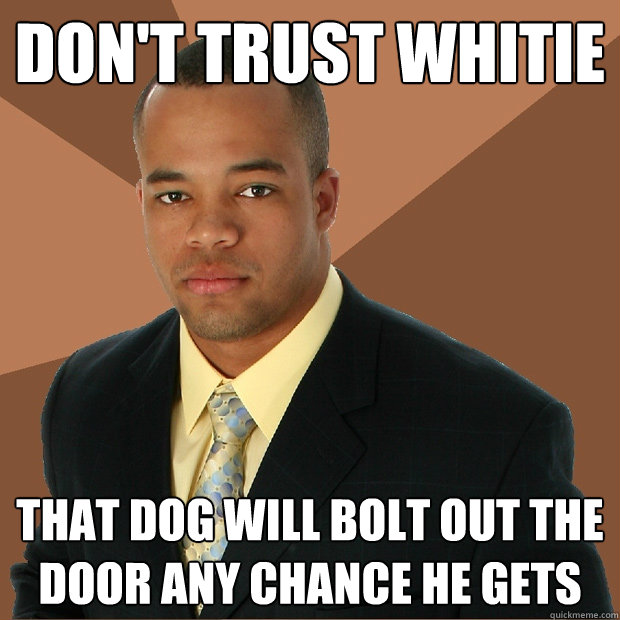 don't trust whitie that dog will bolt out the door any chance he gets  Successful Black Man