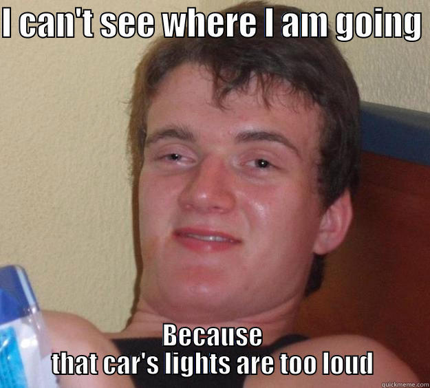 I CAN'T SEE WHERE I AM GOING  BECAUSE THAT CAR'S LIGHTS ARE TOO LOUD 10 Guy