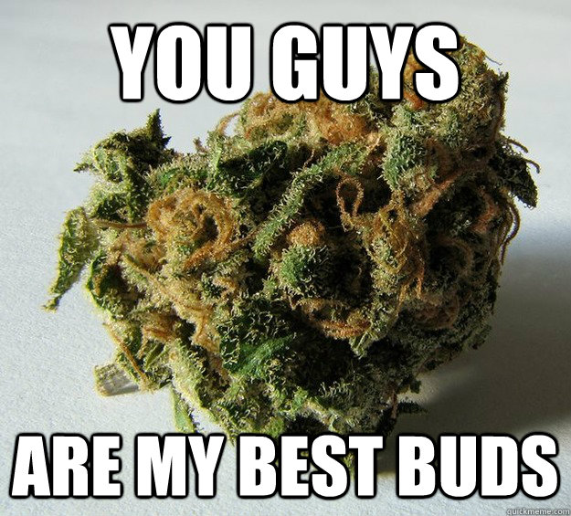 You guys Are my best buds  Weed bud
