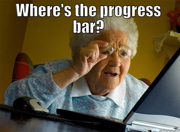 WHERE'S THE PROGRESS BAR?  Grandma finds the Internet