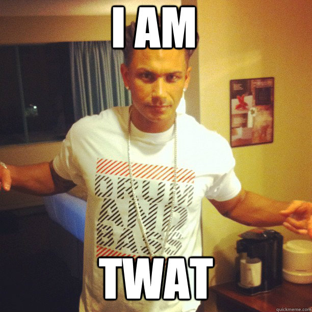 i am  twat  Drum and Bass DJ Pauly D