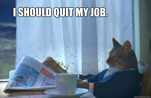 I should quit my job. - I should quit my job.  Sophisticated Cat