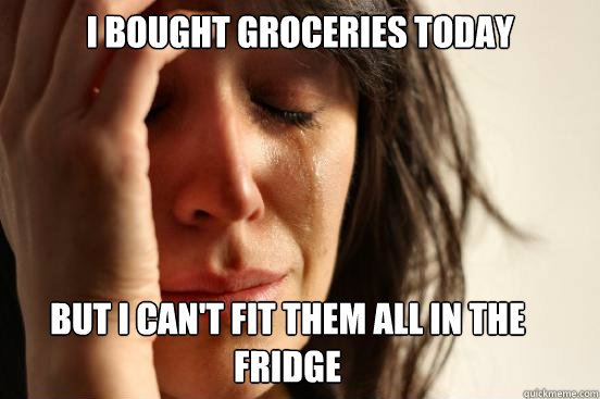 I bought groceries today
 but i can't fit them all in the fridge Caption 3 goes here  First World Problems