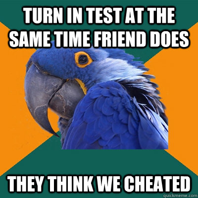 turn in test at the same time friend does They think we cheated  Paranoid Parrot