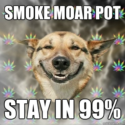smoke moar pot Stay in 99%  Stoner Dog