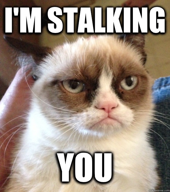 I'M STALKING YOU - I'M STALKING YOU  Misc