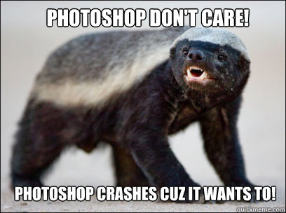 Photoshop Don't care! Photoshop Crashes cuz it wants to!  Honey Badger
