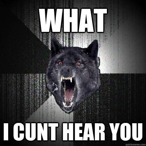 what  i cunt hear you  Insanity Wolf