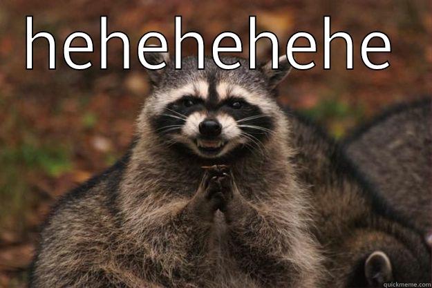 HEHEHEHEHE  Evil Plotting Raccoon