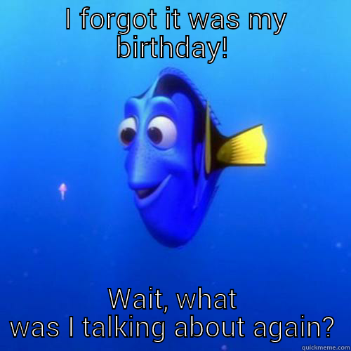  I FORGOT IT WAS MY BIRTHDAY! WAIT, WHAT WAS I TALKING ABOUT AGAIN? dory