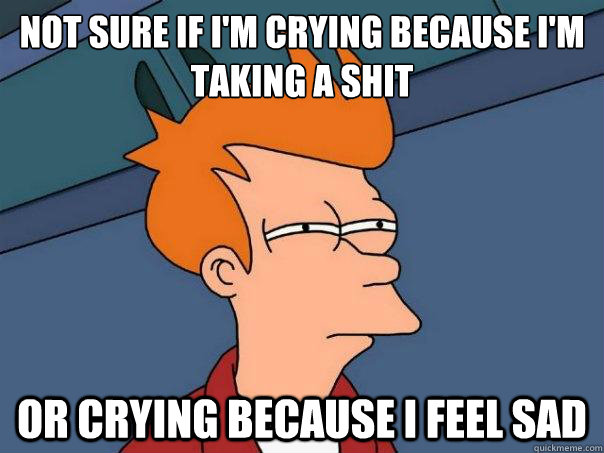 Not sure if I'm crying because I'm taking a shit or crying because I feel sad  Futurama Fry