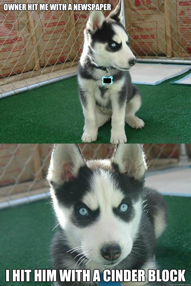 Owner hit me with a newspaper  I hit him with a cinder block - Owner hit me with a newspaper  I hit him with a cinder block  Insanity puppy