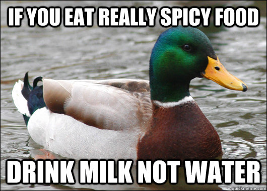 If you eat really spicy food  drink milk not water  - If you eat really spicy food  drink milk not water   Actual Advice Mallard