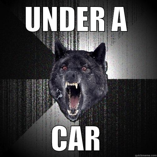 UNDER A CAR Insanity Wolf
