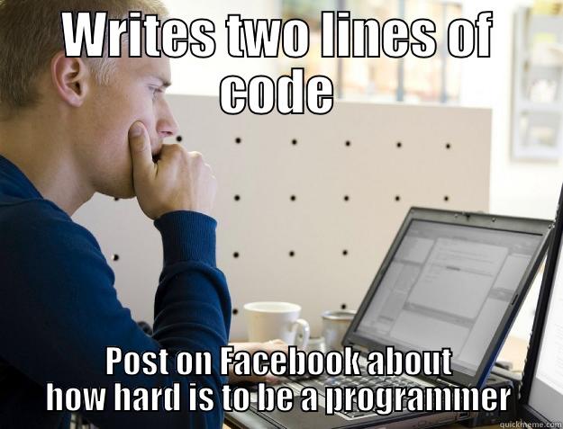 write code, post it on facebook - WRITES TWO LINES OF CODE POST ON FACEBOOK ABOUT HOW HARD IS TO BE A PROGRAMMER Programmer