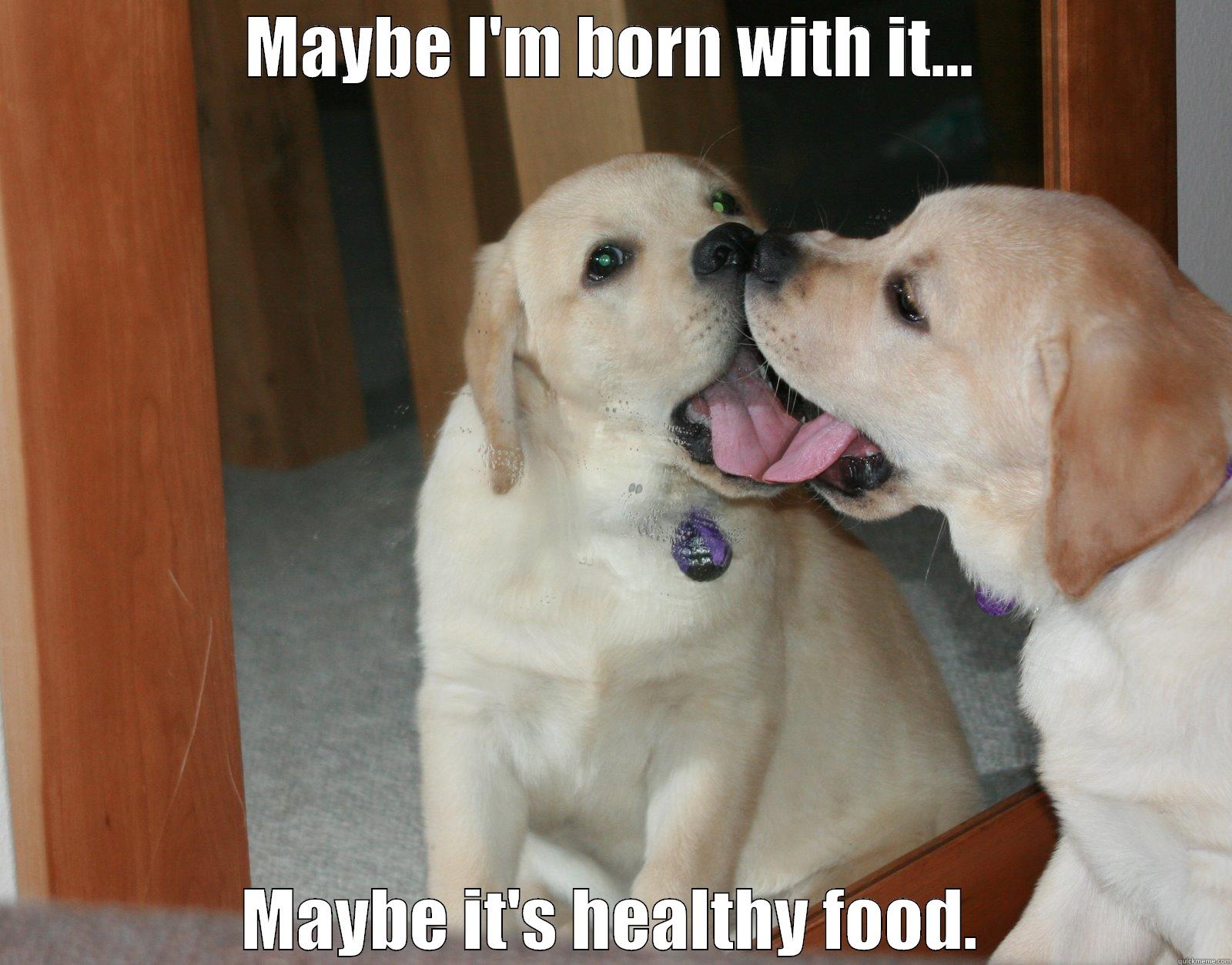Smug Mirror Puppy - MAYBE I'M BORN WITH IT... MAYBE IT'S HEALTHY FOOD. Misc