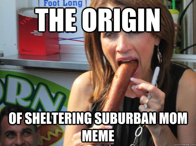 The origin  Of Sheltering Suburban mom meme  