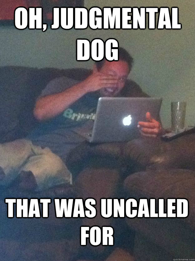 Oh, judgmental dog That was uncalled for  MEME DAD