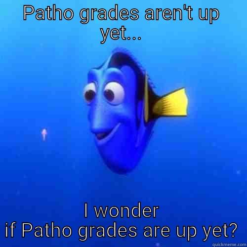 PATHO GRADES AREN'T UP YET... I WONDER IF PATHO GRADES ARE UP YET? dory