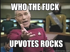 Who the fuck Upvotes rocks  Annoyed Picard
