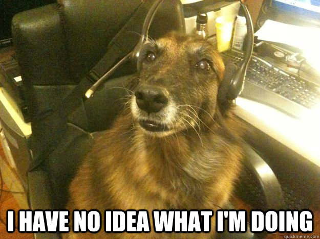  i have no idea what i'm doing  Tech Support Dog