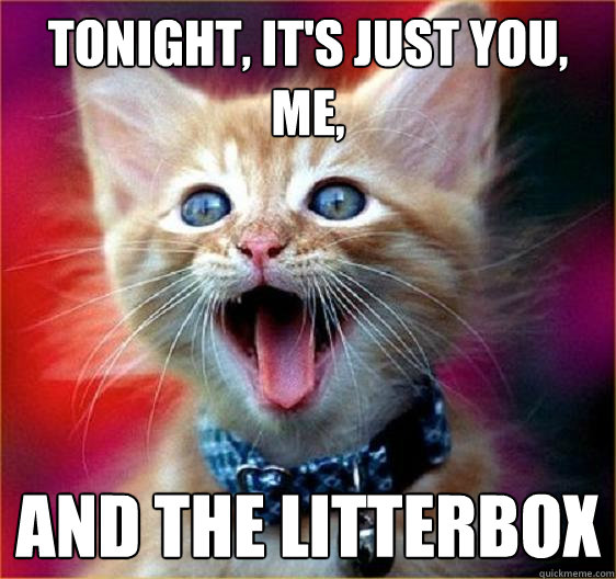 tonight, it's just you, me,  and the litterbox  
