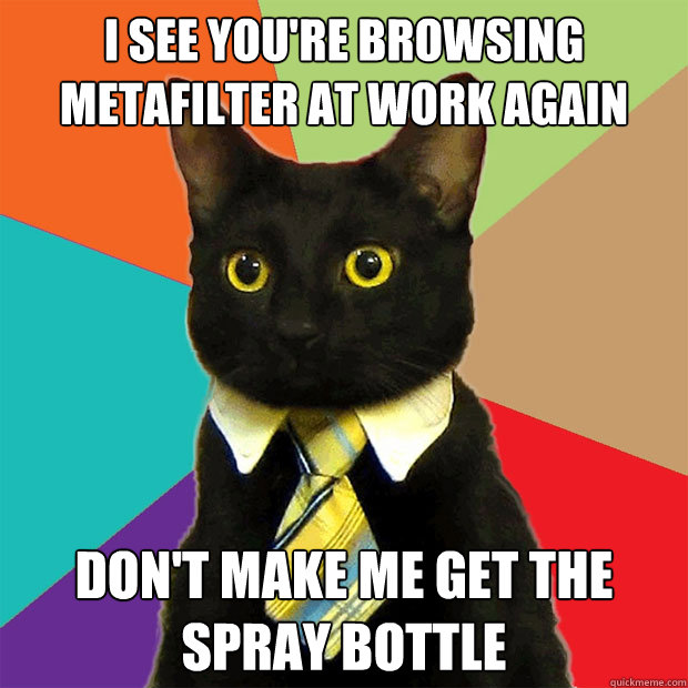 I SEE YOU'RE BROWSING METAFILTER AT WORK AGAIN DON'T MAKE ME GET THE SPRAY BOTTLE - I SEE YOU'RE BROWSING METAFILTER AT WORK AGAIN DON'T MAKE ME GET THE SPRAY BOTTLE  Business Cat
