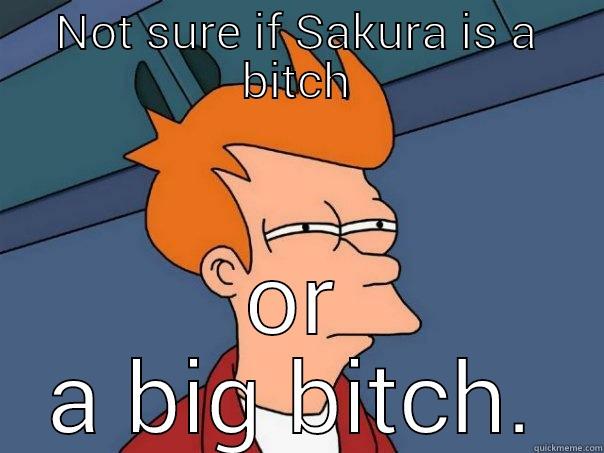 NOT SURE IF SAKURA IS A BITCH OR A BIG BITCH. Futurama Fry