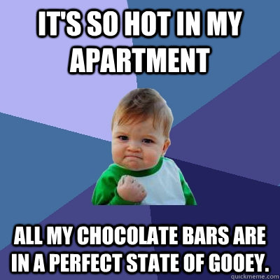 It's so hot in my apartment All my chocolate bars are in a perfect state of gooey.   Success Kid