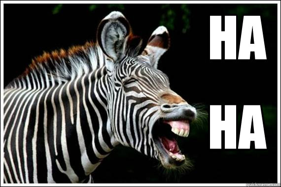                     HA                     HA  Easily Amused Zebra
