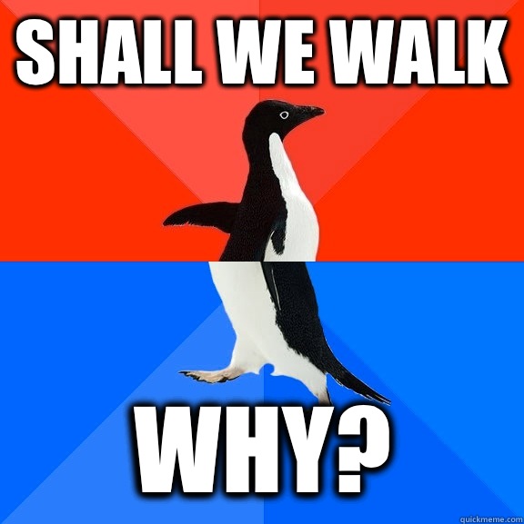 Shall we walk Why?  Socially Awesome Awkward Penguin