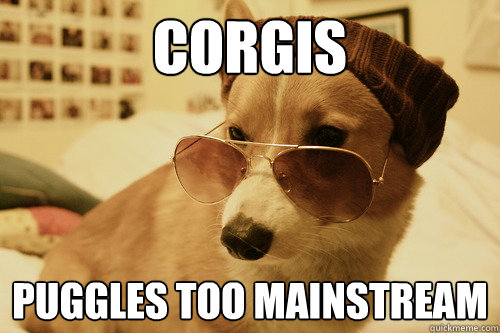 Corgis Puggles too mainstream - Corgis Puggles too mainstream  Hipster corgi