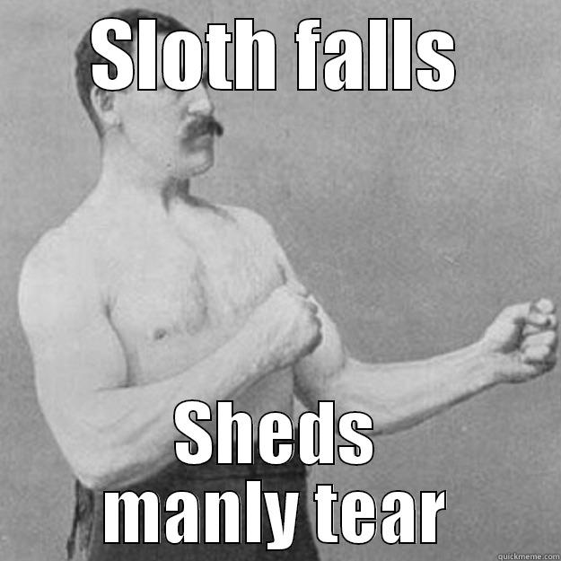SLOTH FALLS SHEDS MANLY TEAR overly manly man