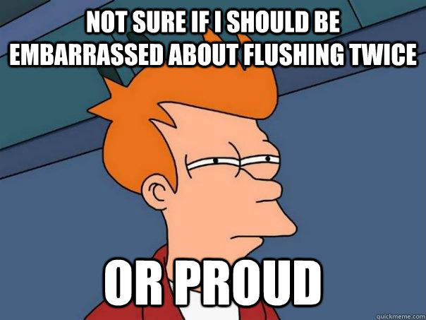 Not sure if I should be embarrassed about flushing twice or proud  Futurama Fry