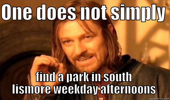 ONE DOES NOT SIMPLY  FIND A PARK IN SOUTH LISMORE WEEKDAY AFTERNOONS Boromir