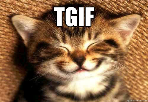 TGIF   TGIF cat